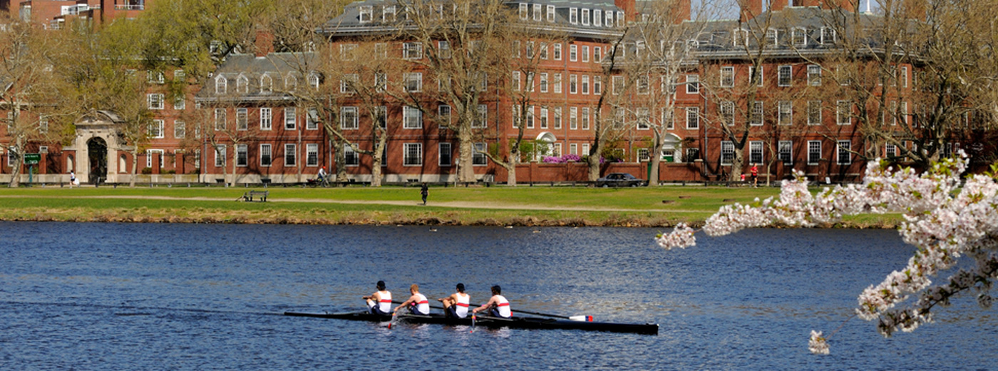 Header image Harvard rowers