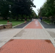 Hamilton College Walkway