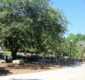 Parked bikes at FSU