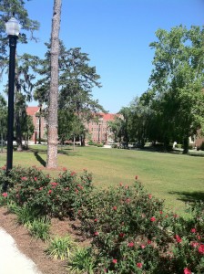 FSU Campus Grounds