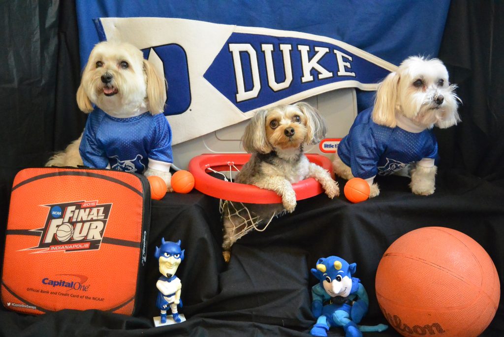 Duke University - "Blue Devil Dogs"