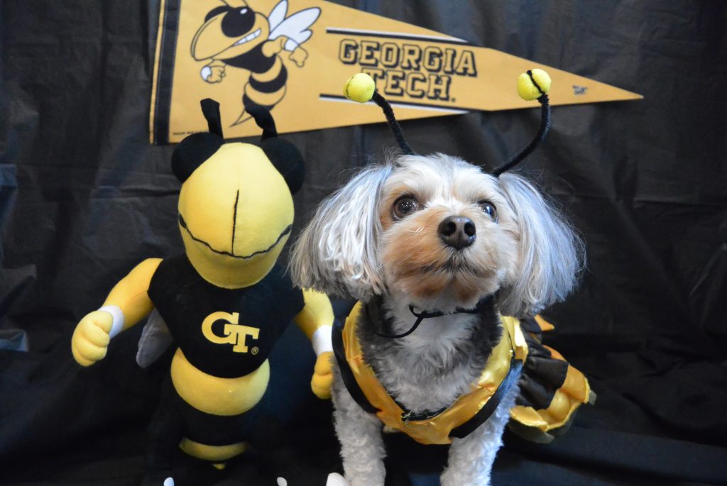Georgia Institute of Technology - "The buzz is all about Miss Georgia Peach Prudence."