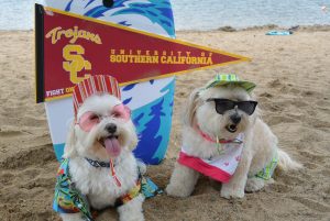 University of Southern California - "The too cute scandal..."