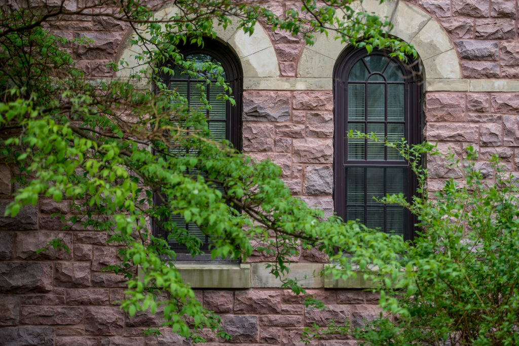 Green leafy branches in front of arched stone windows
