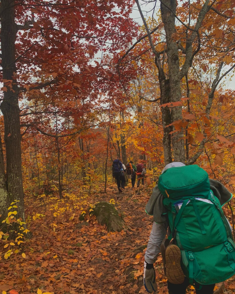 Back view of four students with large backpacks hiking through woods in the fall.