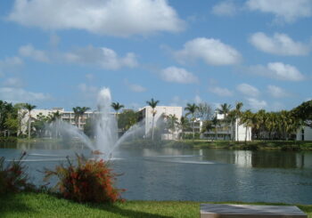 A Visit to the University of Miami