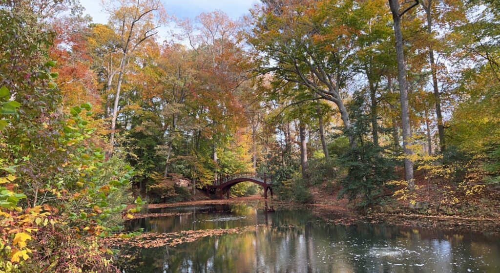 A bridge spanning a quiet river among fall colored leaves.