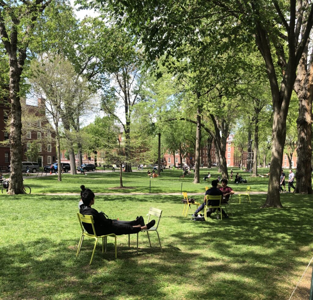 Student sitting in yellow chair with feet and legs on second chair in grassy Harvard Yard on sunny day