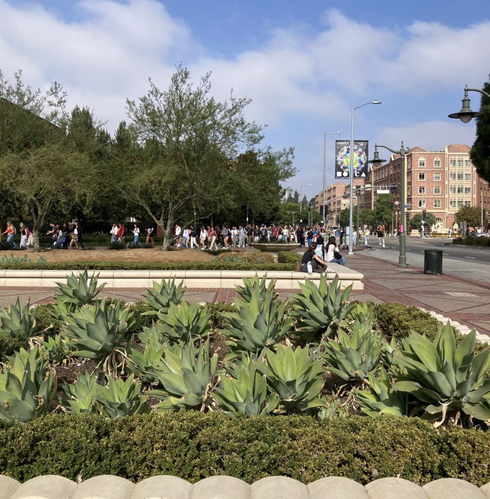 Large group of students crossing the street onto campus for class