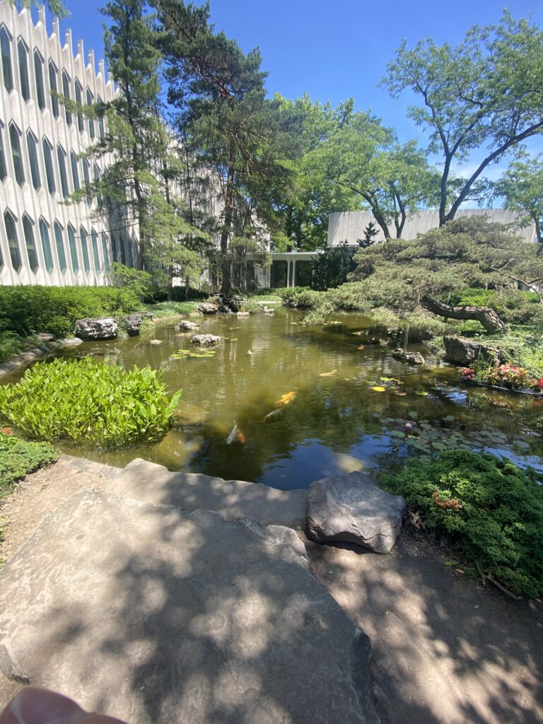 Koi pond outside Conservatory on sunny day.